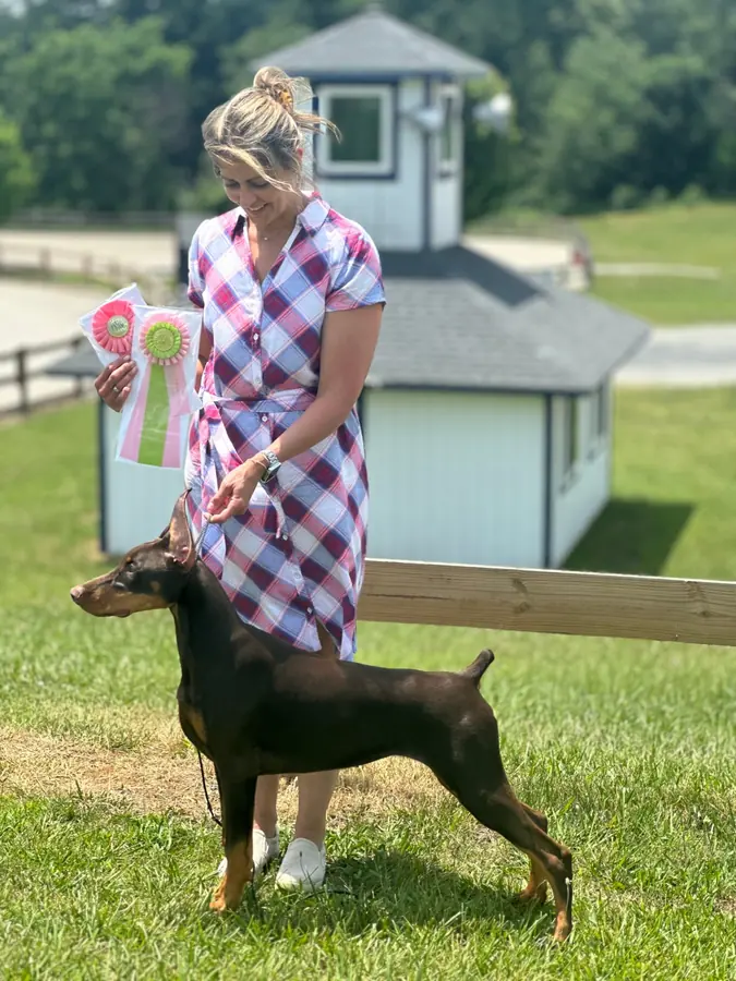 Doberman posed outdoors beside a handler holding award rosettes